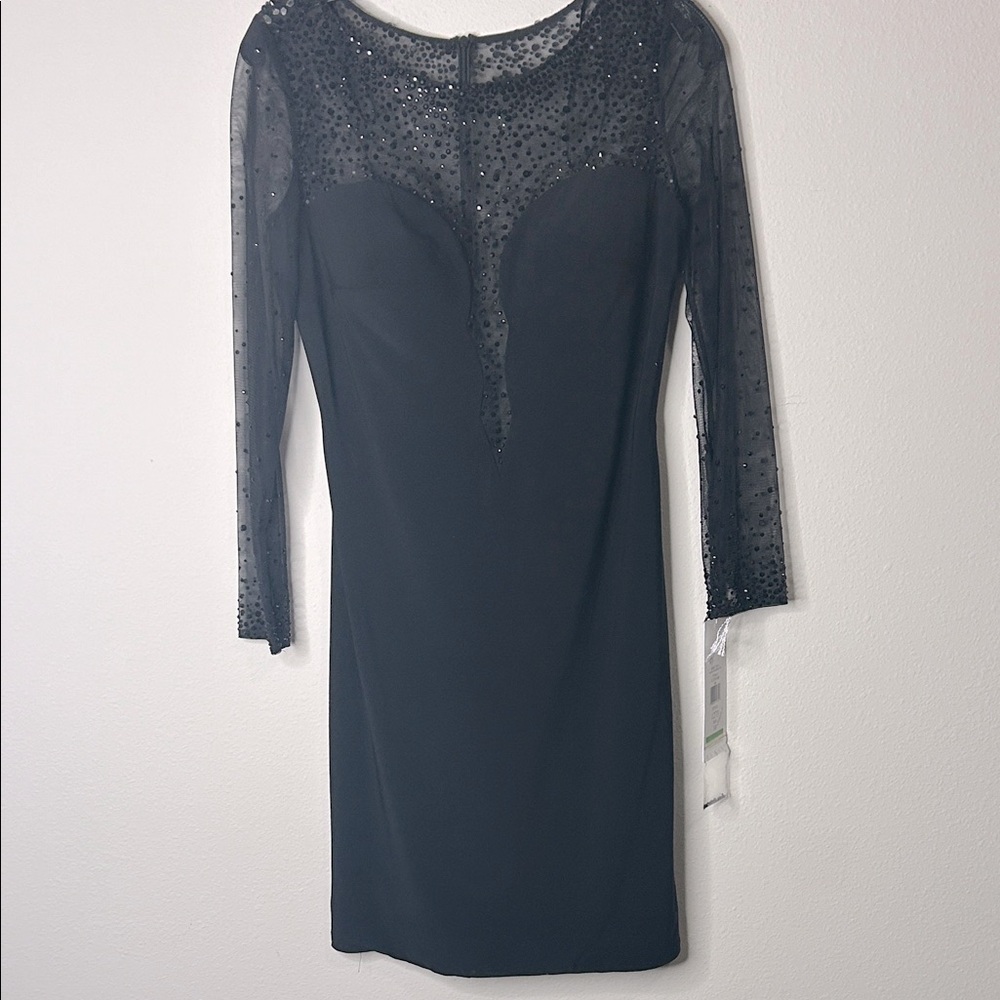 Elegant Black Dress with Sheer Sleeves